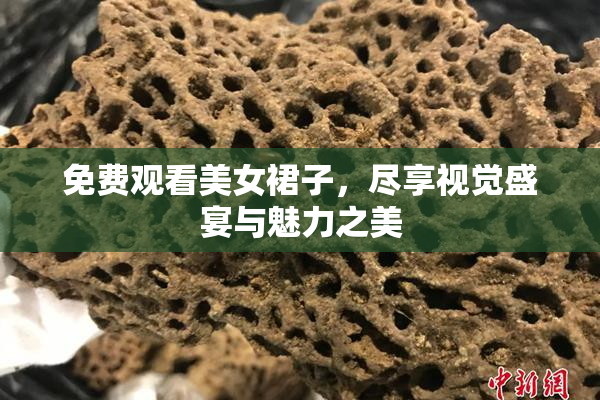 免费观看美女裙子，尽享视觉盛宴与魅力之美