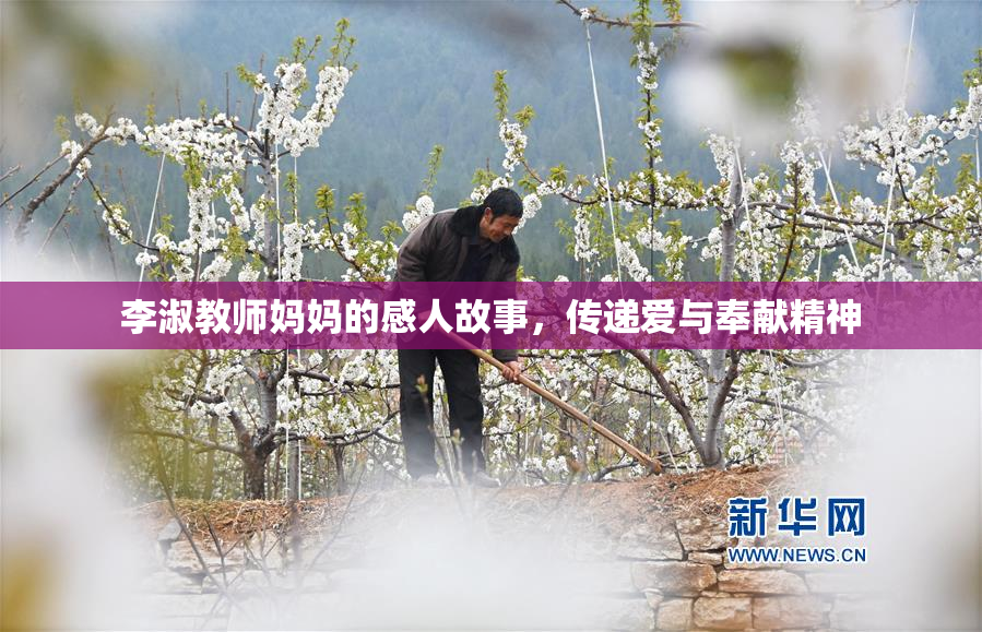 李淑教师妈妈的感人故事，传递爱与奉献精神