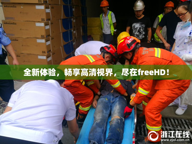 全新体验，畅享高清视界，尽在freeHD！