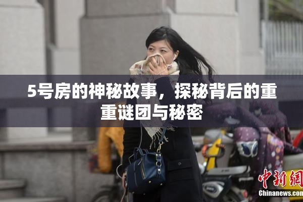 5号房的神秘故事，探秘背后的重重谜团与秘密