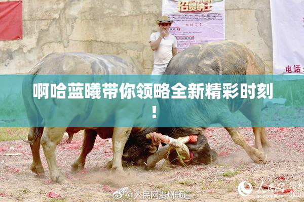 啊哈蓝曦带你领略全新精彩时刻！