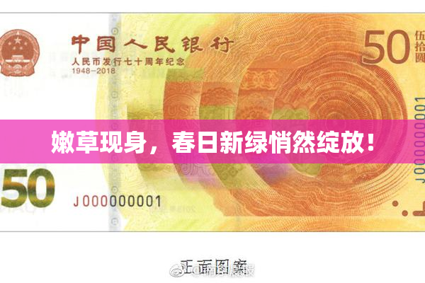 嫩草现身，春日新绿悄然绽放！