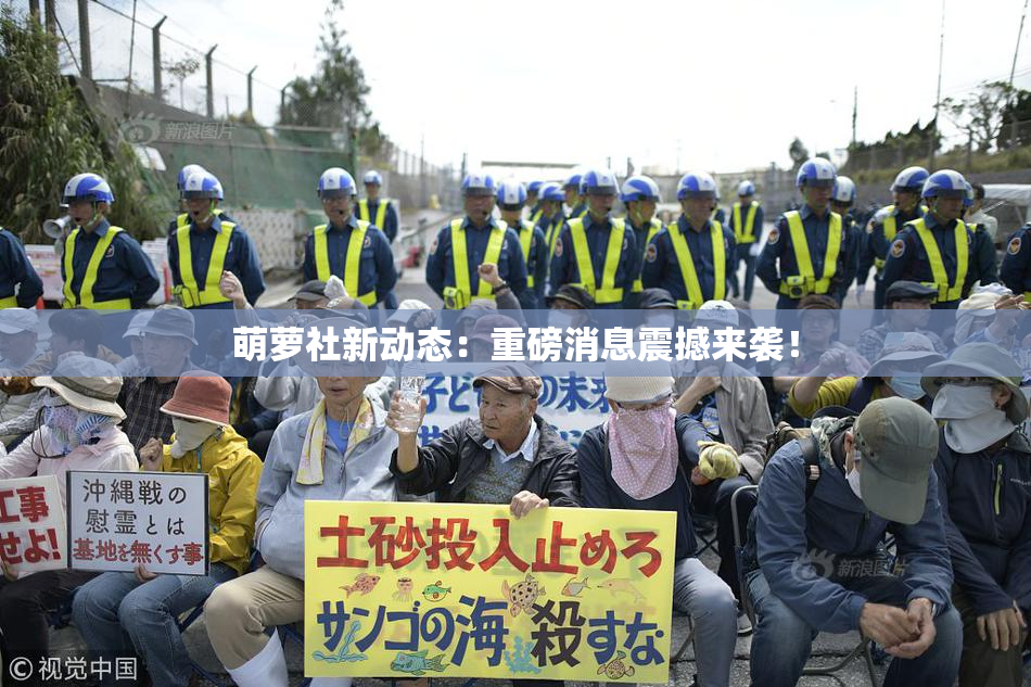 萌萝社新动态：重磅消息震撼来袭！