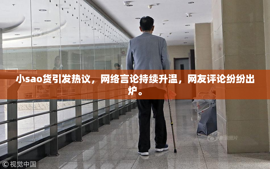 小sao货引发热议，网络言论持续升温，网友评论纷纷出炉。