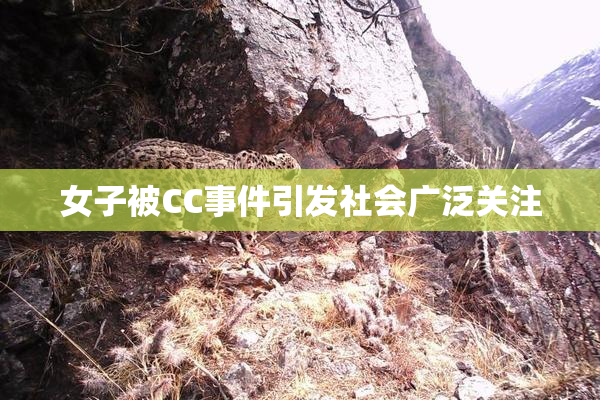 女子被CC事件引发社会广泛关注