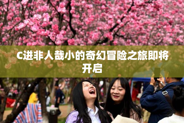 C进非人哉小的奇幻冒险之旅即将开启