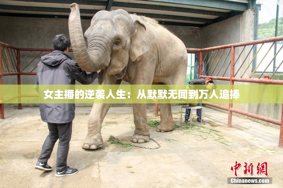 女主播的逆袭人生：从默默无闻到万人追捧