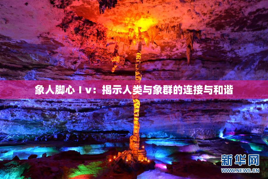 象人脚心Ⅰv：揭示人类与象群的连接与和谐