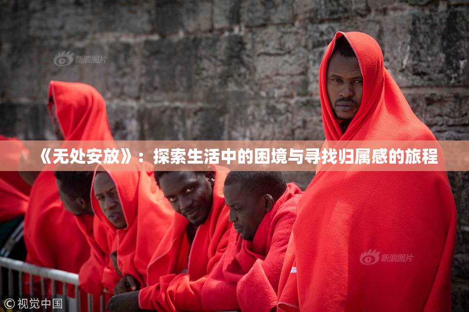 《无处安放》：探索生活中的困境与寻找归属感的旅程