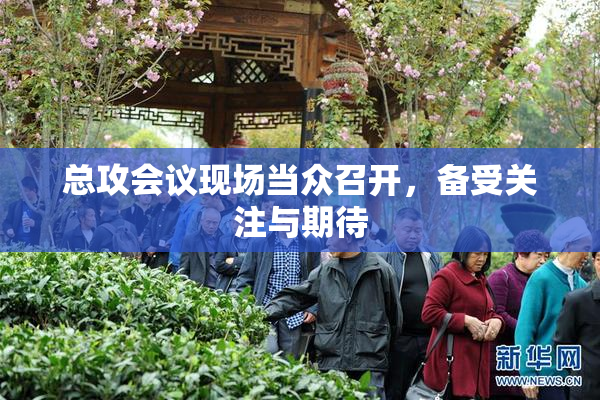 总攻会议现场当众召开，备受关注与期待