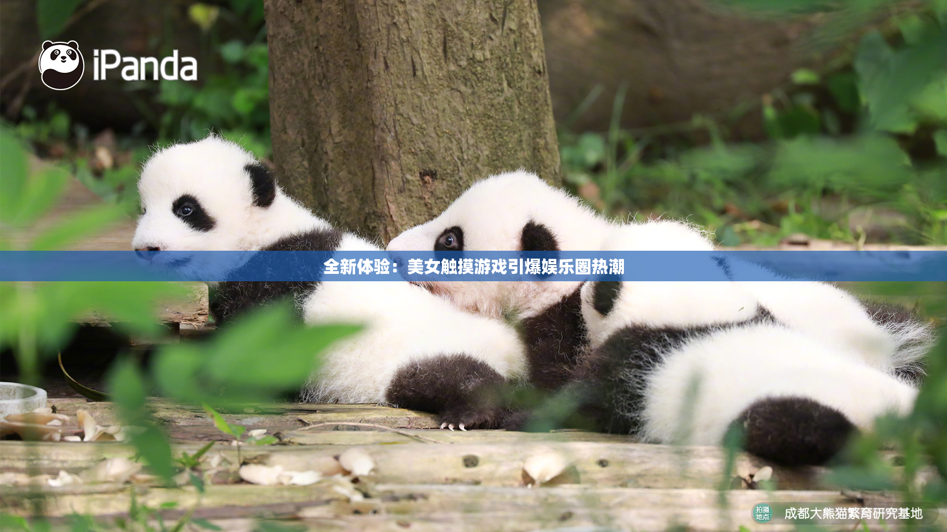 全新体验：美女触摸游戏引爆娱乐圈热潮