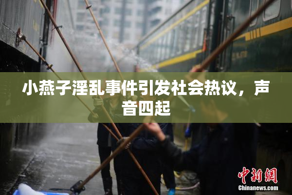 小燕子淫乱事件引发社会热议，声音四起
