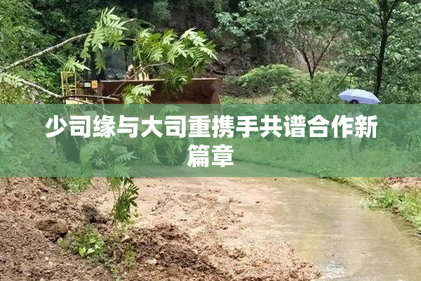 少司缘与大司重携手共谱合作新篇章