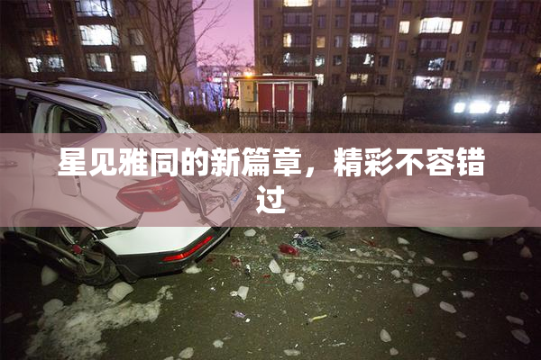 星见雅同的新篇章，精彩不容错过