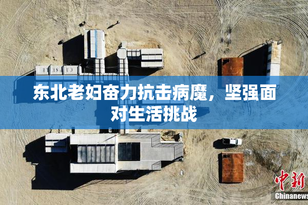 东北老妇奋力抗击病魔，坚强面对生活挑战