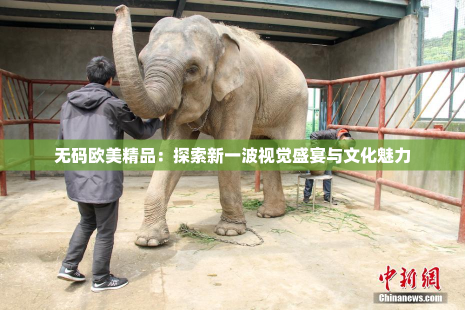 无码欧美精品：探索新一波视觉盛宴与文化魅力