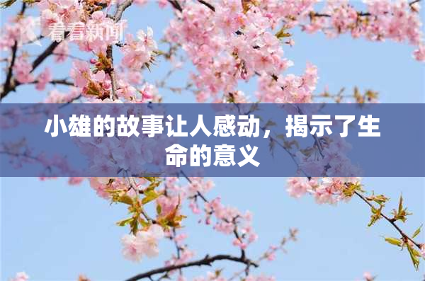 小雄的故事让人感动，揭示了生命的意义