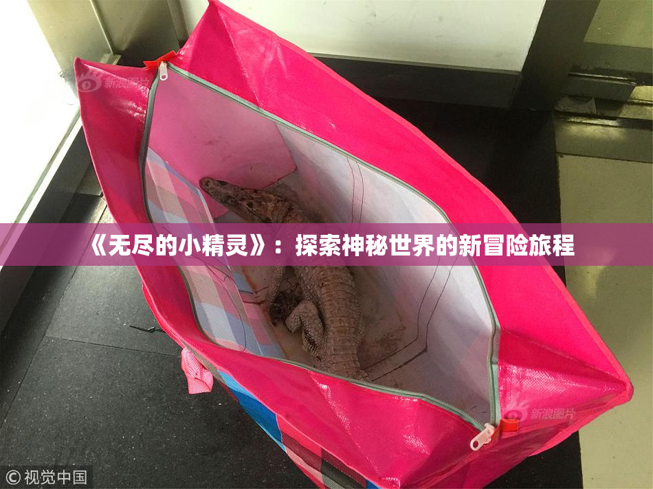 《无尽的小精灵》：探索神秘世界的新冒险旅程
