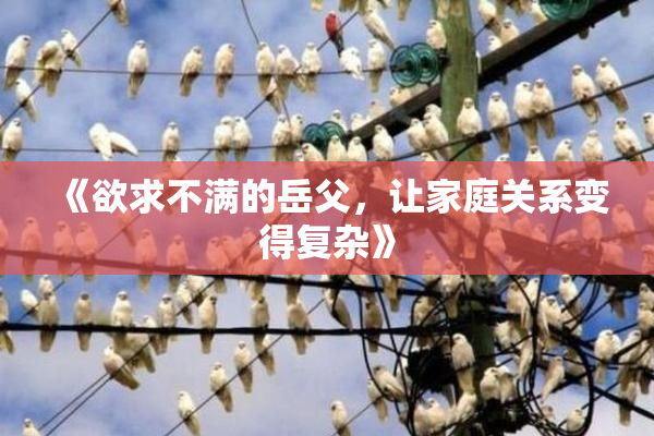《欲求不满的岳父，让家庭关系变得复杂》