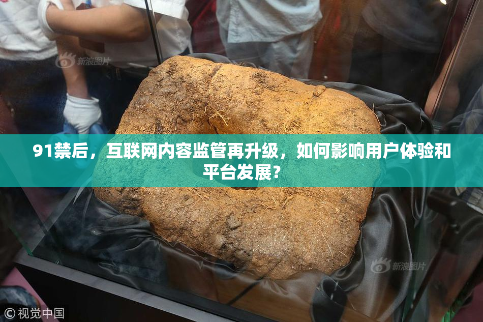 91禁后，互联网内容监管再升级，如何影响用户体验和平台发展？