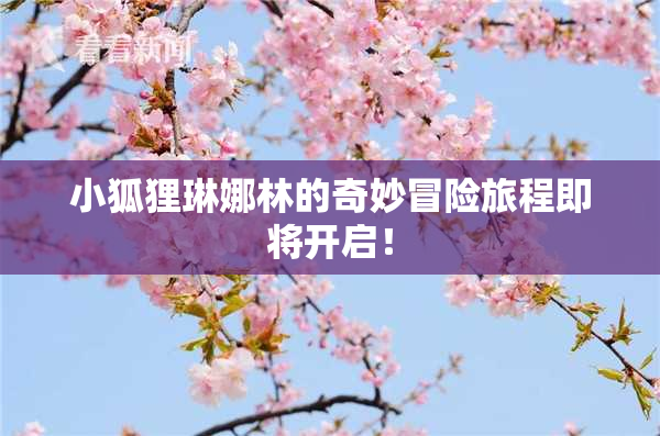 小狐狸琳娜林的奇妙冒险旅程即将开启！