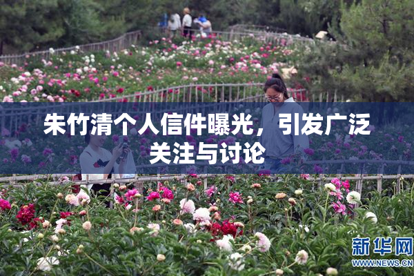 朱竹清个人信件曝光，引发广泛关注与讨论