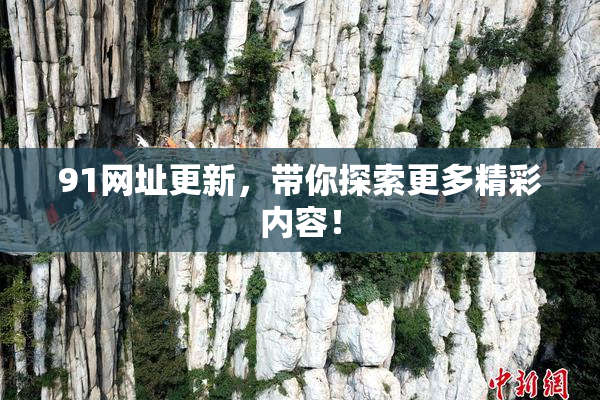 91网址更新，带你探索更多精彩内容！