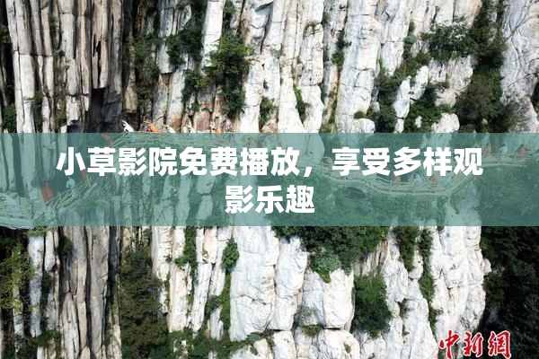 小草影院免费播放，享受多样观影乐趣