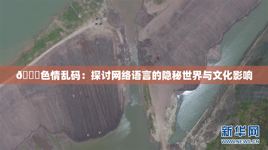🔞色情乱码：探讨网络语言的隐秘世界与文化影响