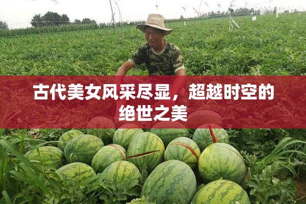 古代美女风采尽显，超越时空的绝世之美