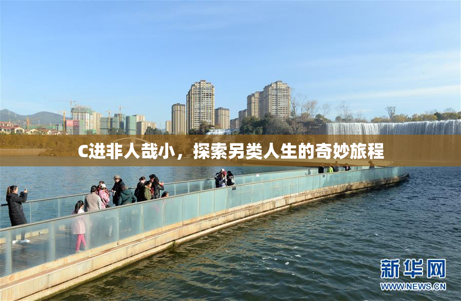 C进非人哉小，探索另类人生的奇妙旅程