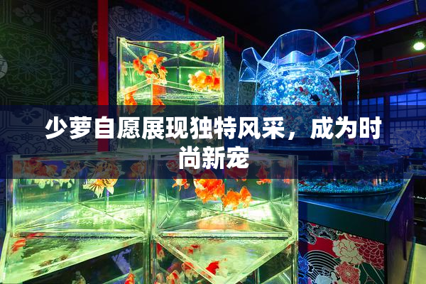 少萝自愿展现独特风采，成为时尚新宠