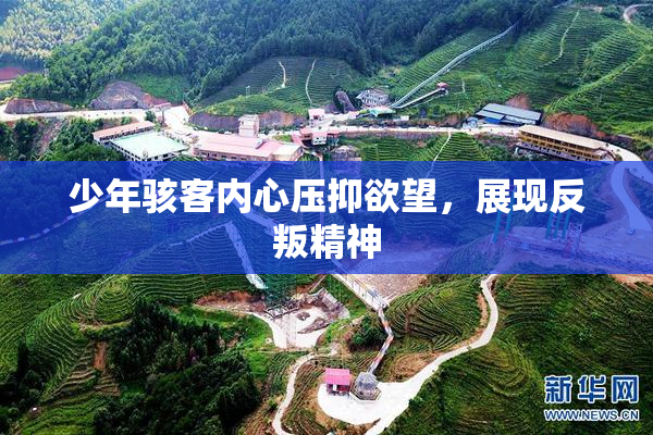少年骇客内心压抑欲望，展现反叛精神
