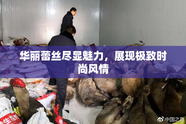 华丽蕾丝尽显魅力，展现极致时尚风情