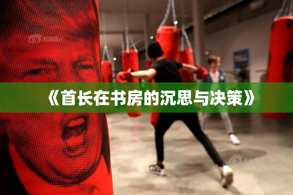 《首长在书房的沉思与决策》