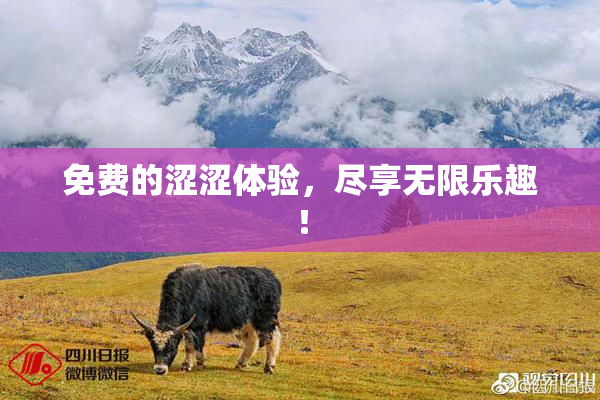 免费的涩涩体验，尽享无限乐趣！