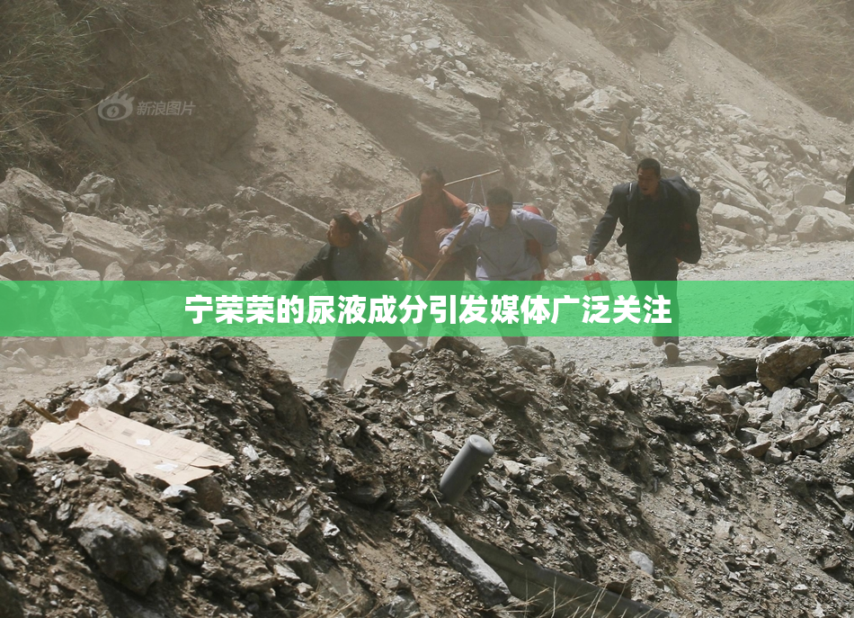 宁荣荣的尿液成分引发媒体广泛关注