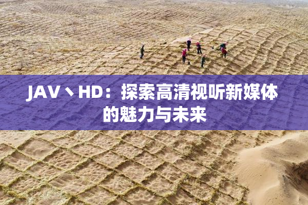 JAV丶HD：探索高清视听新媒体的魅力与未来