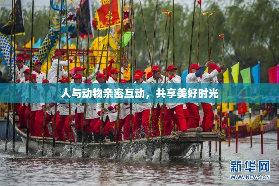 人与动物亲密互动，共享美好时光