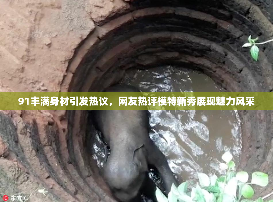 91丰满身材引发热议，网友热评模特新秀展现魅力风采