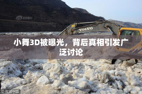 小舞3D被曝光，背后真相引发广泛讨论
