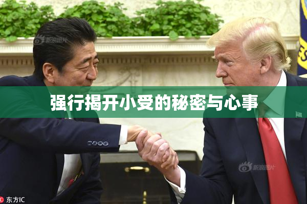 强行揭开小受的秘密与心事