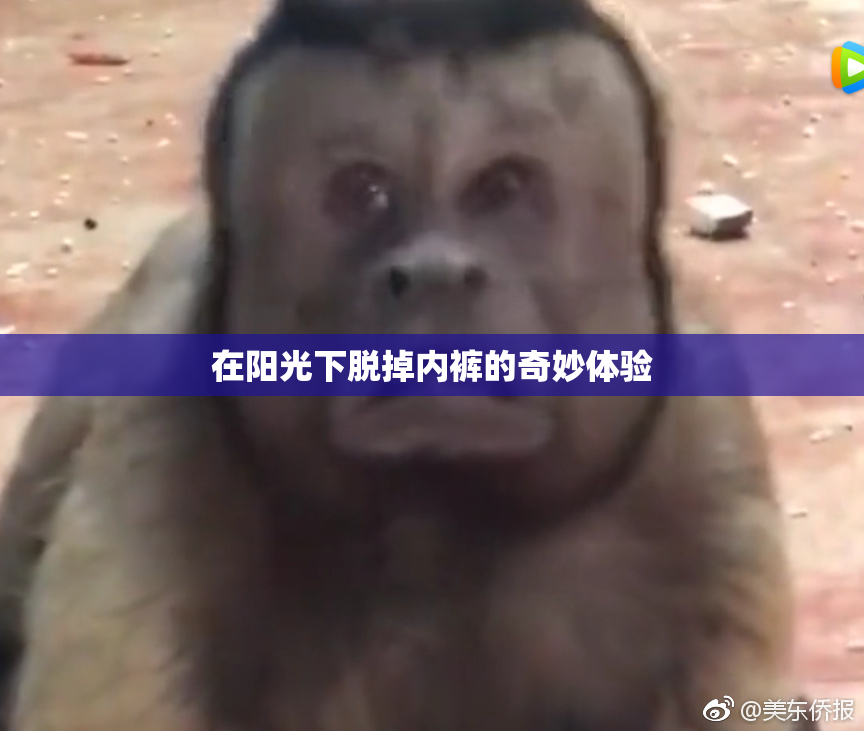 在阳光下脱掉内裤的奇妙体验