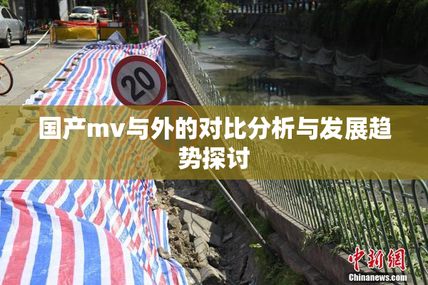 国产mv与外的对比分析与发展趋势探讨