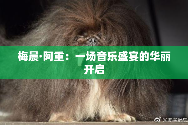 梅晨·阿重：一场音乐盛宴的华丽开启