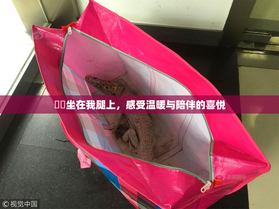 妺妺坐在我腿上，感受温暖与陪伴的喜悦