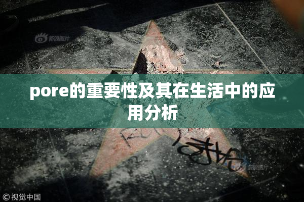 pore的重要性及其在生活中的应用分析