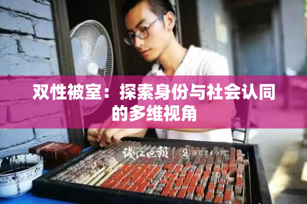 双性被室：探索身份与社会认同的多维视角