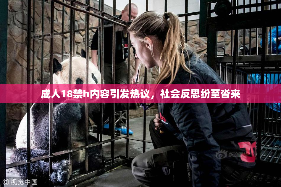 成人18禁h内容引发热议，社会反思纷至沓来