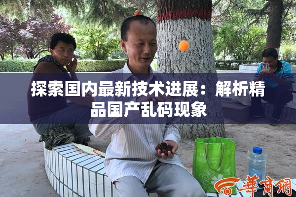 探索国内最新技术进展：解析精品国产乱码现象